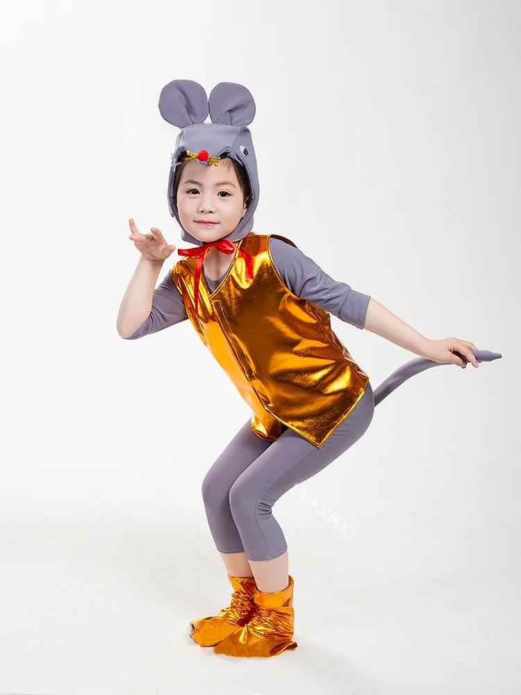 ̿ ȸ 콺 ڽƬ,   ǻ,  ڽ ǻ, ġ 